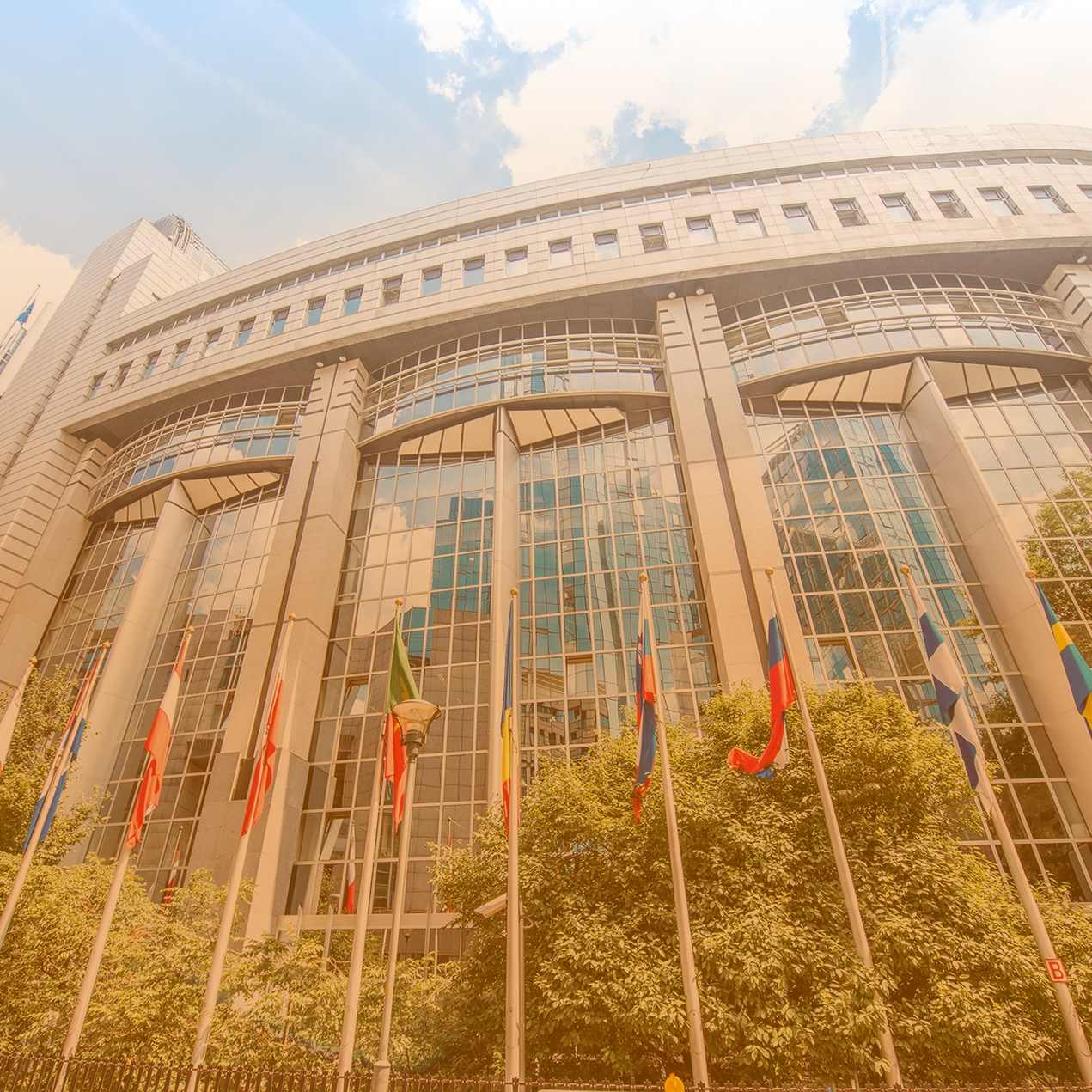 ETİK KORUMA & GÜVENLİK